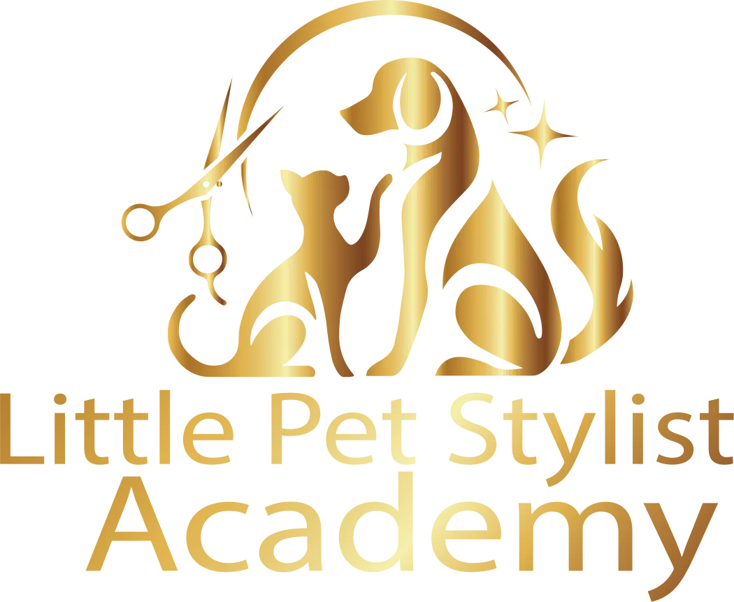 Little Pet Stylist Academy